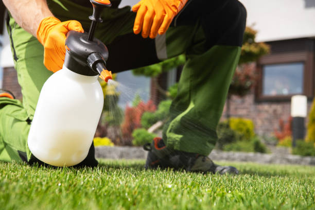 Best Best Pest Control Companies  in Placerville, CA