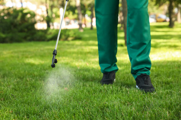  Placerville, CA Pest Control Pros