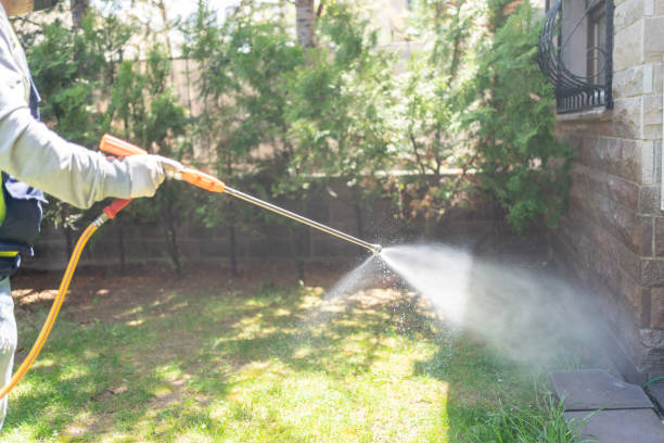 Best Flea Control Services  in Placerville, CA