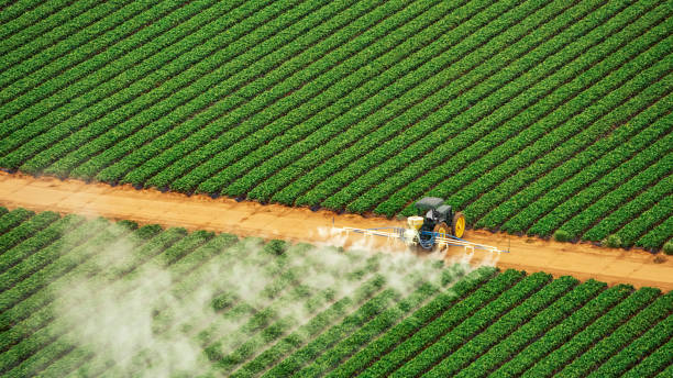 Pest Control Cost in Placerville, CA