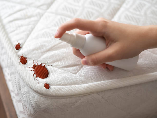 Placerville, CA Pest Control Company