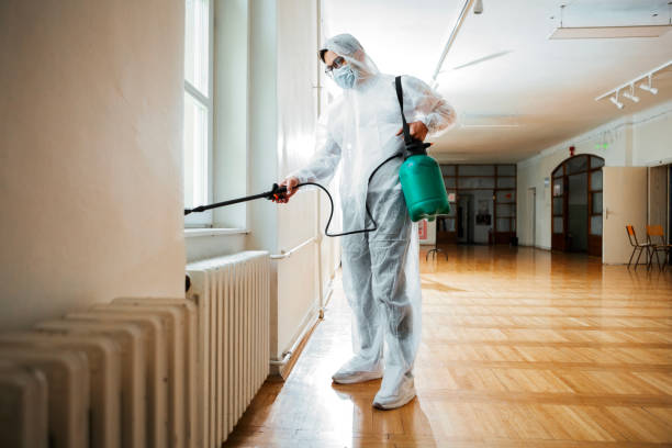 Best Termite Control Services  in Placerville, CA