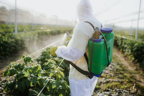 Best Best Pest Control Companies  in Placerville, CA